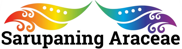 Sarupaning Araceae