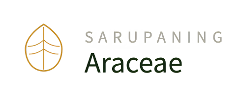 Sarupaning Araceae